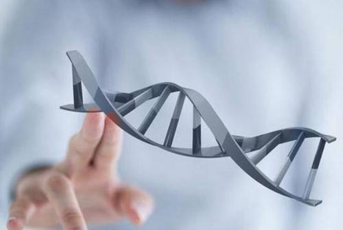 怎樣去做親子判定承認(rèn)孩子是不是自己的？